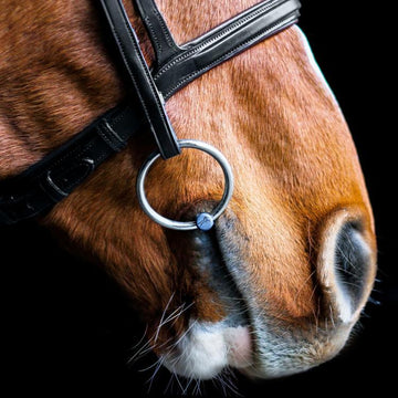 Fager Madeleine Titanium Single Jointed Loose Ring Snaffle